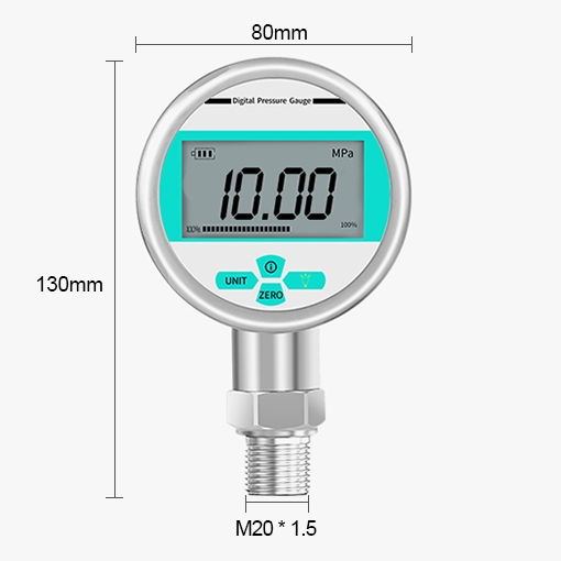 0 to 100 bar digital pressure gauge size