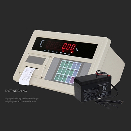 Digital weighing scale indicator detail