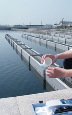 Dissolved oxygen meter for environmental water quality test