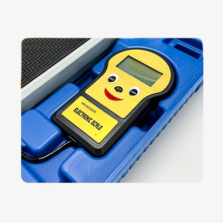 Electronic refrigerant scale detail