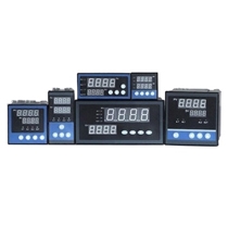 Programmable temperature controller on off PID control