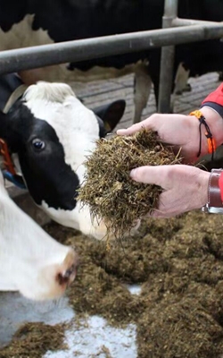 Smart portable water activity meter for feed production